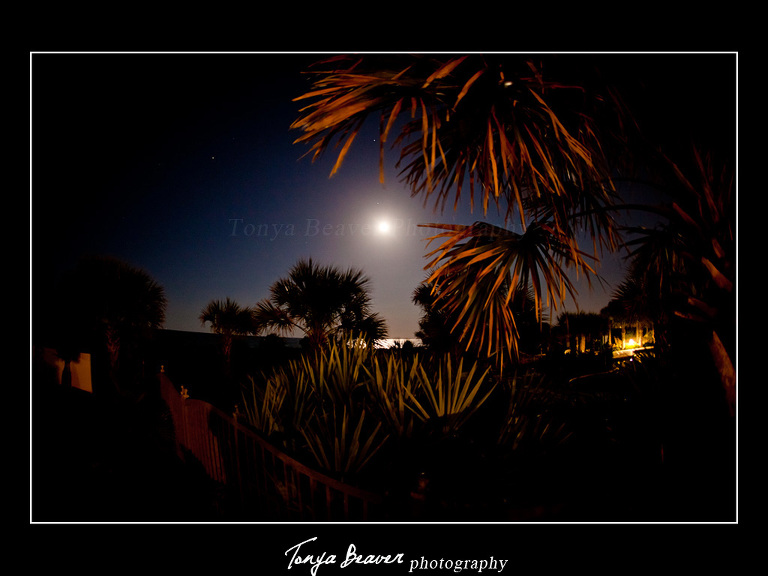 Hammock Beach Golf Resort and Spa Wedding Photography by Tonya Beaver Photography