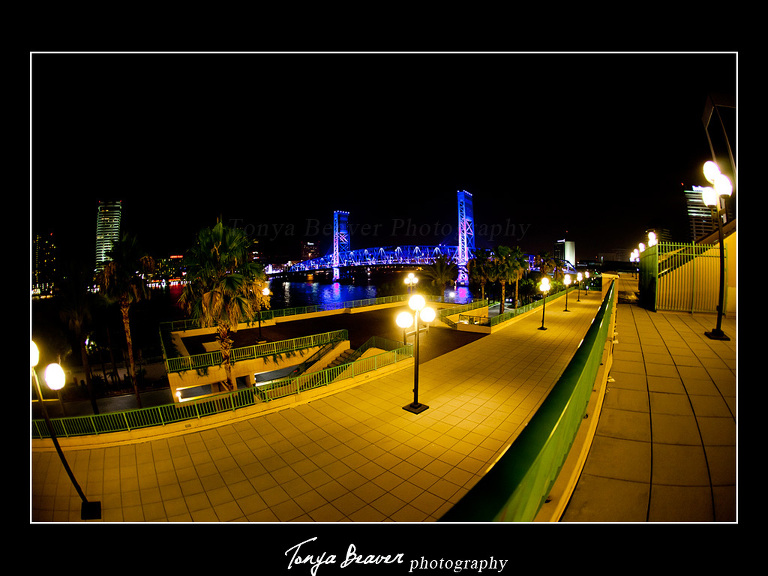 Hyatt Regency Jacksonville Riverfront; Hyatt Regency Jacksonville Riverfront Weddings; Hyatt Regency Jacksonville Riverfront Wedding Photos; Hyatt Regency Jacksonville Riverfront Wedding Pictures; Hyatt Regency Jacksonville Riverfront Wedding Photography; Hyatt Regency Jacksonville Riverfront Wedding Photographer; JACKSONVILLE WEDDINGS; JACKSONVILLE WEDDING PHOTOS; JACKSONVILLE WEDDING PICTURES; JACKSONVILLE WEDDING PHOTOGRAPHER; JACKSONVILLE WEDDING PHOTOGRAPHY; JACKSONVILLE FLORIDA WEDDINGS; NORTH FLORIDA WEDDINGS; TONYA BEAVER PHOTOGRAPHY; jacksonville photographers; photographer jacksonville fl; Downtown Jacksonville Weddings; Downtown Jacksonville Wedding Photographer; 