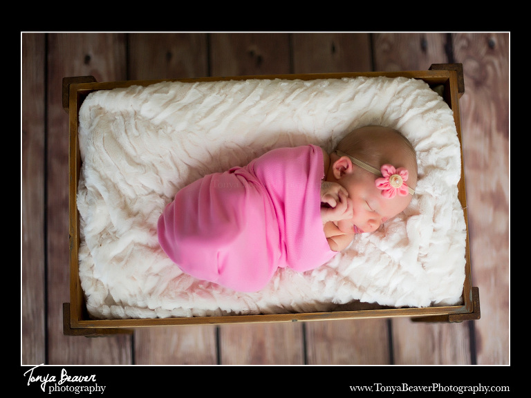 newborn baby photography, Newborn photos, newborn Photoshoot, Tonya Beaver Photography, Jacksonville Lifestyle Newborn Photography, Jacksonville Lifestyle Newborn Photographer, Jacksonville Lifestyle Newborn Photos, Jacksonville Lifestyle Newborn Pictures, Jacksonville Newborn Photography, Jacksonville Newborn Photographer, Jacksonville Newborn Photos, Jacksonville Newborn Pictures, 