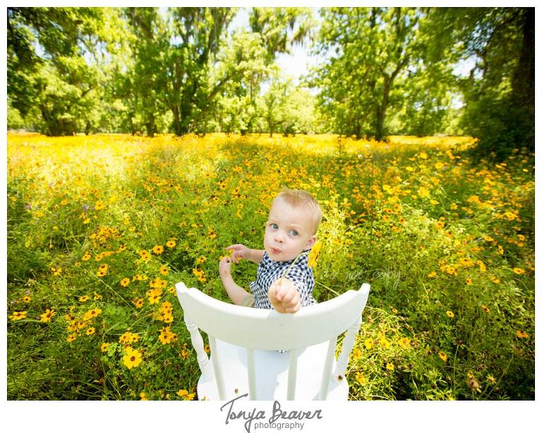 Live Oak Children Photographer, Live Oak Children Photography, Live Oak Children Photos, Live Oak Children Pictures, Live Oak Family Photography, Live Oak Family Photos, Live Oak Family Photographer, Live Oak Family Pictures, Flower field minis, Tonya Beaver Photography, Live oak flower fields photos, 
