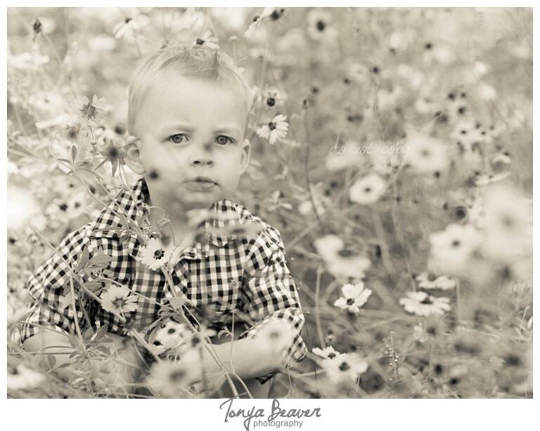 Live Oak Children Photographer, Live Oak Children Photography, Live Oak Children Photos, Live Oak Children Pictures, Live Oak Family Photography, Live Oak Family Photos, Live Oak Family Photographer, Live Oak Family Pictures, Flower field minis, Tonya Beaver Photography, Live oak flower fields photos, 