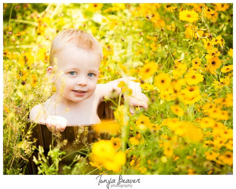Live Oak Children Photographer, Live Oak Children Photography, Live Oak Children Photos, Live Oak Children Pictures, Live Oak Family Photography, Live Oak Family Photos, Live Oak Family Photographer, Live Oak Family Pictures, Flower field minis, Tonya Beaver Photography, Live oak flower fields photos, 