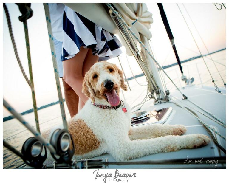 Sunset Sailing Engagement Photos; Sailing Engagement Photos; Western Carolina Sailing Club Engagement Photos; Jacksonville Sailing Engagement Photos; Tonya Beaver Photography; Sailing and dogs; 