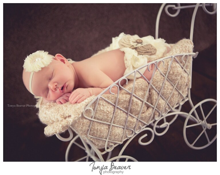 Jacksonville Newborn Photographer; Jacksonville children Photographer; Jacksonville Photography Studio; Tonya Beaver Photography;