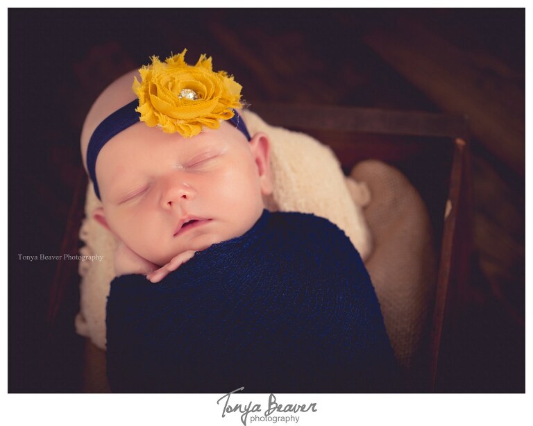 Jacksonville Newborn Photographer; Jacksonville children Photographer; Jacksonville Photography Studio; Tonya Beaver Photography;