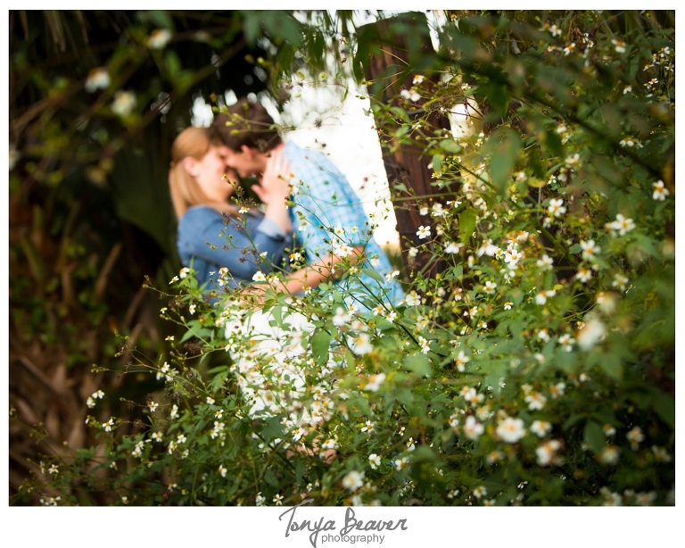 Jacksonville Engagement Photos  by Tonya Beaver Photography; Country Engagement Photos  by Tonya Beaver Photography; Outdoor Engagement Photos  by Tonya Beaver Photography; Tonya Beaver Photography; 