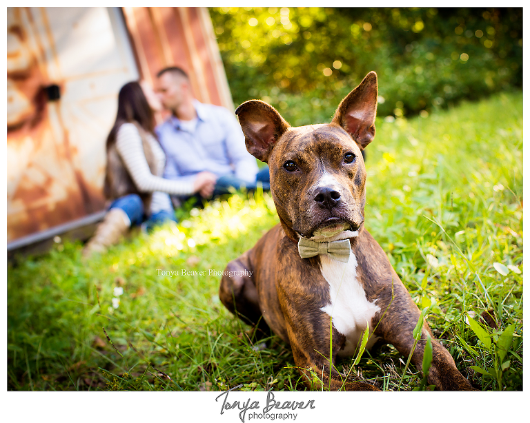 jacksonville family photography; family photos; jacksonville rustic family photos; mini sessions; fall mini sessions; tonya beaver photography; Family Photos with Dogs; Jacksonville Family Photos with Dogs; Jacksonville Beach Family Photos with Dogs; Jacksonville Photos with Dogs; 