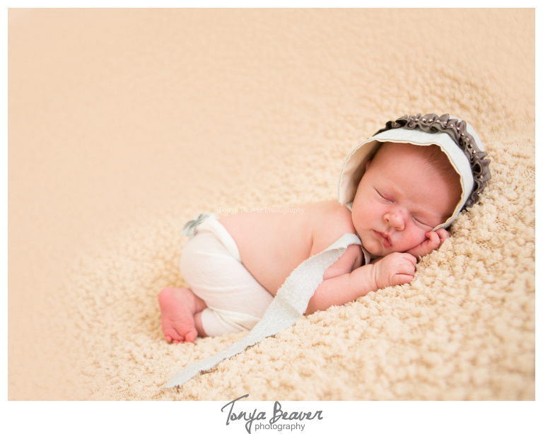 jacksonville newborn photographer; jacksonville newborn photos; jacksonville maternity photo session; jacksonville photography studio; tonya beaver photography; 