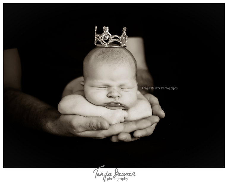 jacksonville newborn photographer; jacksonville newborn photos; jacksonville maternity photo session; jacksonville photography studio; tonya beaver photography; 
