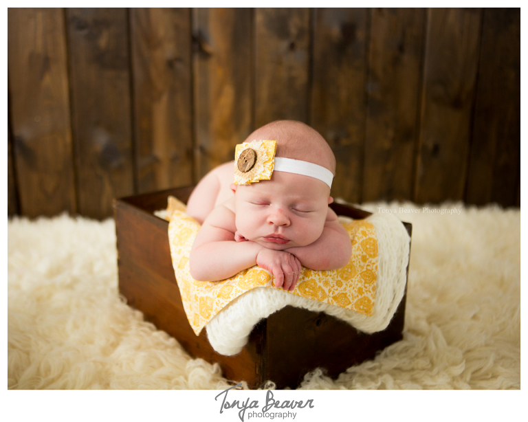jacksonville newborn photographer; jacksonville newborn photos; jacksonville maternity photo session; jacksonville photography studio; tonya beaver photography; 