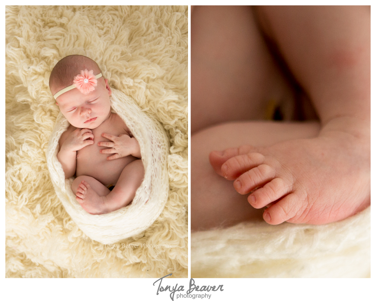 jacksonville newborn photographer; jacksonville newborn photos; jacksonville maternity photo session; jacksonville photography studio; tonya beaver photography; 