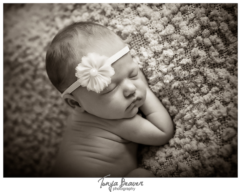 jacksonville newborn photographer; jacksonville photography studio; baby photos; newborn photos; maternity photos; tonya beaver photography;