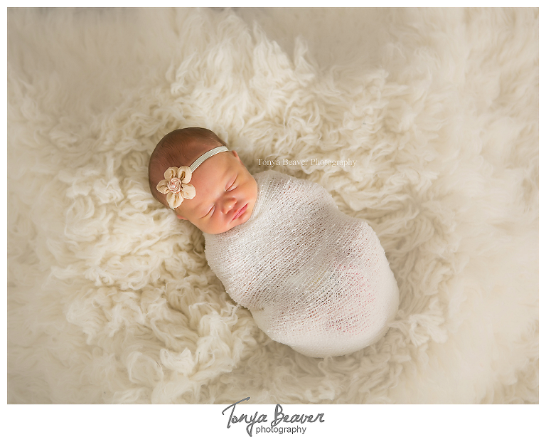 jacksonville newborn photographer; jacksonville photography studio; baby photos; newborn photos; maternity photos; tonya beaver photography;