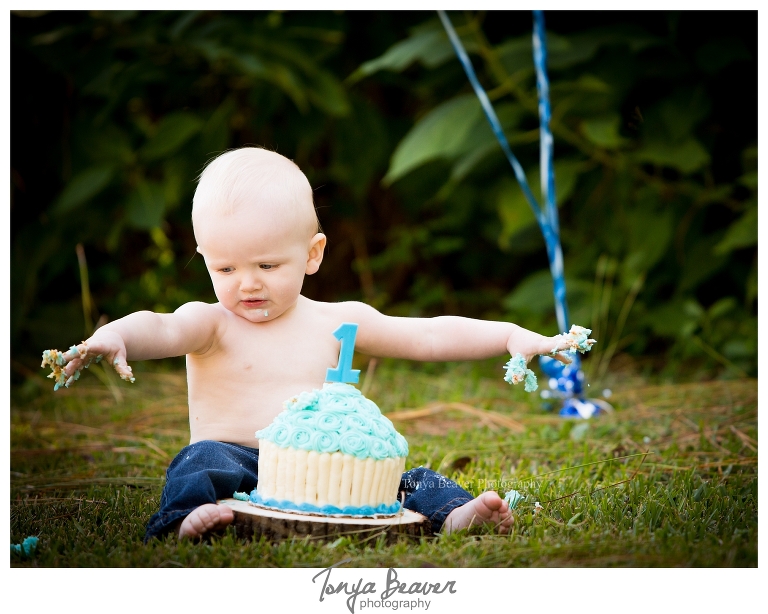  jacksonville cake smash photography;  jacksonville cake smash photos; Jacksonville cake smash Pictures; Woodsy Birthday Photos; Tonya Beaver Photography; 