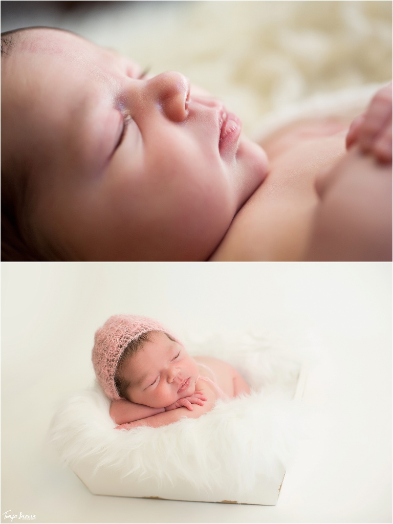 jacksonville newborn photographer; jacksonville child photographer; jacksonville photography studio; tonya beaver photography;