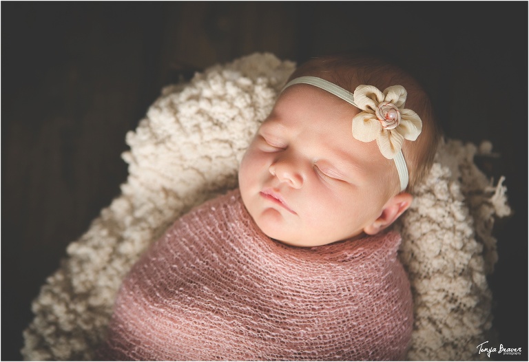 tonya beaver photography; jacksonville newborn photographer; jacksonville beach family photographer; Jacksonville Beach Newborn Photos; Jacksonville Beach Newborn Photography; Jacksonville Beach Newborn Photographer; Jacksonville Beach Newborn Pictures; 