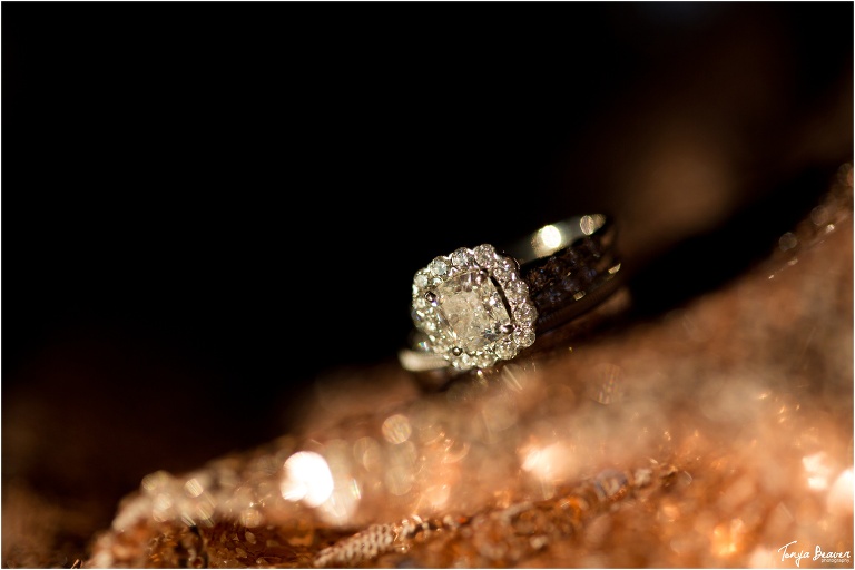 Walker's Landing Wedding Photography by Tonya Beaver Photography