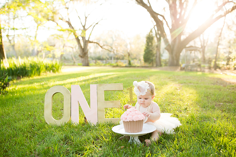 ONE YEAR PHOTOS; LAKE CITY ONE YEAR PHOTOS; LAKE CITY ONE YEAR PHOTOGRAPHY; LAKE CITY ONE YEAR PHOTOGRAPHER; LAKE CITY ONE YEAR PICTURES; LAKE CITY CAKE SMASH PHOTOGRAPHY; LAKE CITY CAKE SMASH PHOTOGRAPHER; LAKE CITY CAKE SMASH PHOTOS; LAKE CITY CAKE SMASH PICTURES; TONYA BEAVER PHOTOGRAPHY; 