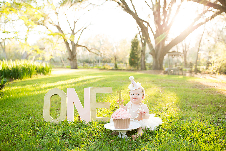 ONE YEAR PHOTOS; LAKE CITY ONE YEAR PHOTOS; LAKE CITY ONE YEAR PHOTOGRAPHY; LAKE CITY ONE YEAR PHOTOGRAPHER; LAKE CITY ONE YEAR PICTURES; LAKE CITY CAKE SMASH PHOTOGRAPHY; LAKE CITY CAKE SMASH PHOTOGRAPHER; LAKE CITY CAKE SMASH PHOTOS; LAKE CITY CAKE SMASH PICTURES; TONYA BEAVER PHOTOGRAPHY; 