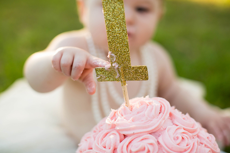 ONE YEAR PHOTOS; LAKE CITY ONE YEAR PHOTOS; LAKE CITY ONE YEAR PHOTOGRAPHY; LAKE CITY ONE YEAR PHOTOGRAPHER; LAKE CITY ONE YEAR PICTURES; LAKE CITY CAKE SMASH PHOTOGRAPHY; LAKE CITY CAKE SMASH PHOTOGRAPHER; LAKE CITY CAKE SMASH PHOTOS; LAKE CITY CAKE SMASH PICTURES; TONYA BEAVER PHOTOGRAPHY; 