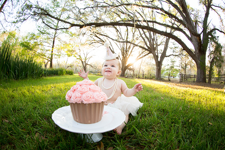 ONE YEAR PHOTOS; LAKE CITY ONE YEAR PHOTOS; LAKE CITY ONE YEAR PHOTOGRAPHY; LAKE CITY ONE YEAR PHOTOGRAPHER; LAKE CITY ONE YEAR PICTURES; LAKE CITY CAKE SMASH PHOTOGRAPHY; LAKE CITY CAKE SMASH PHOTOGRAPHER; LAKE CITY CAKE SMASH PHOTOS; LAKE CITY CAKE SMASH PICTURES; TONYA BEAVER PHOTOGRAPHY; 