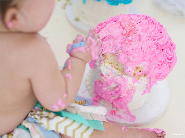 JACKSONVILLE ONE YEAR PHOTOGRAPHY; JACKSONVILLE ONE YEAR PHOTOGRAPHER; JACKSONVILLE ONE YEAR PHOTOS; JACKSONVILLE ONE YEAR PICTURES; TONYA BEAVER PHOTOGRAPHY; First Birthday photos; First Birthday photography; Cake Smash Photography; Cake Smash Photos; Cake Smash Photographer; Cake Smash Pictures; Twins Birthday Photos; 