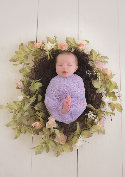 Jacksonville Newborn Photography by Tonya Beaver Photography