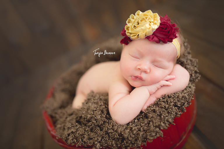Jacksonville Newborn Photography by Tonya Beaver Photography