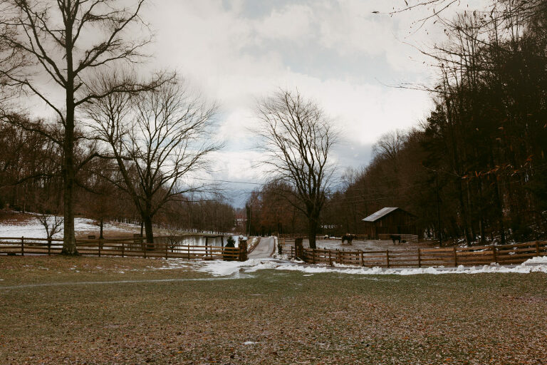 Canaan Valley Farms; Canaan Valley Farms Wedding; ASHEVILLE WEDDING PHOTOGRAPHY; CANAAN VALLEY FARMS WEDDING PHOTOGRAPHY; ASHEVILLE WEDDING PHOTOGRAPHER; CANAAN VALLEY FARMS WEDDING PHOTOGRAPHER; ASHEVILLE WEDDING PHOTOS; CANAAN VALLEY FARMS WEDDING PHOTOS; ASHEVILLE WEDDING PICTURES; CANAAN VALLEY FARMS WEDDING PICTURES; Tonya Beaver Photography; jacksonville photographers; photographer jacksonville fl; Winter Wedding Photos; Winter Wedding; 