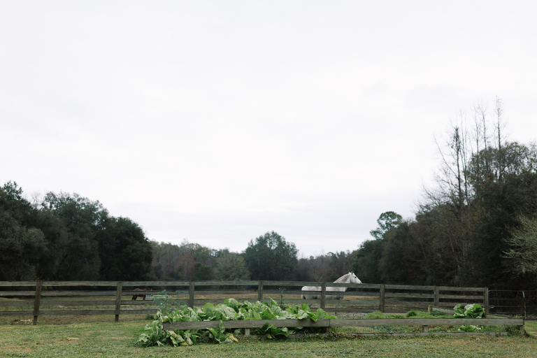 All 4 One Farms Wedding Photography by Tonya Beaver Photography