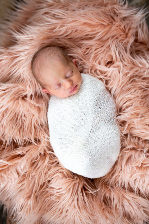 JACKSONVILLE NEWBORN PHOTOS; JACKSONVILLE NEWBORN PHOTOGRAPHY; JACKSONVILLE NEWBORN PHOTOGRAPHER; JACKSONVILLE NEWBORN PICTURES; TONYA BEAVER PHOTOGRAPHY; JACKSONVILLE MILESTONE PHOTOGRAPHY; JACKSONVILLE MILESTONE PHOTOGRAPHER; JACKSONVILLE MILESTONE PHOTOS; JACKSONVILLE MILESTONE PICTURES; 