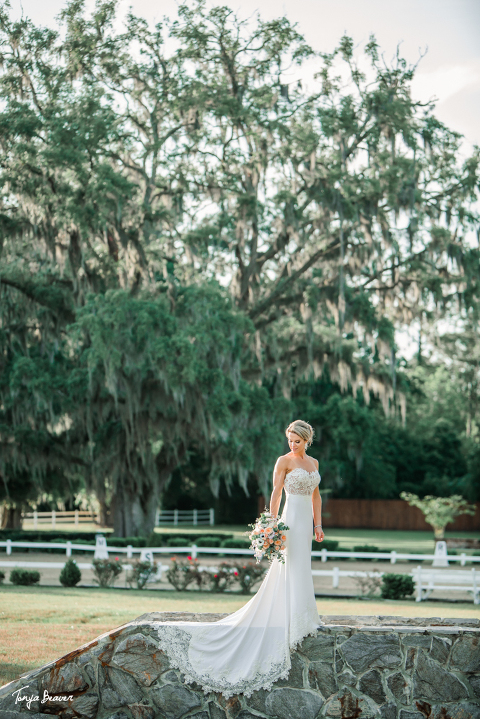 Plantation Oaks Farms Wedding Photography by Tonya Beaver Photography