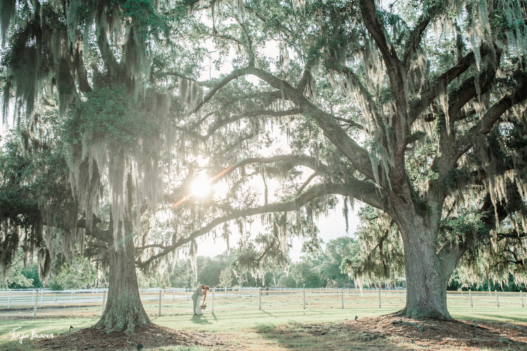Plantation Oaks Farms Wedding Photography by Tonya Beaver Photography
