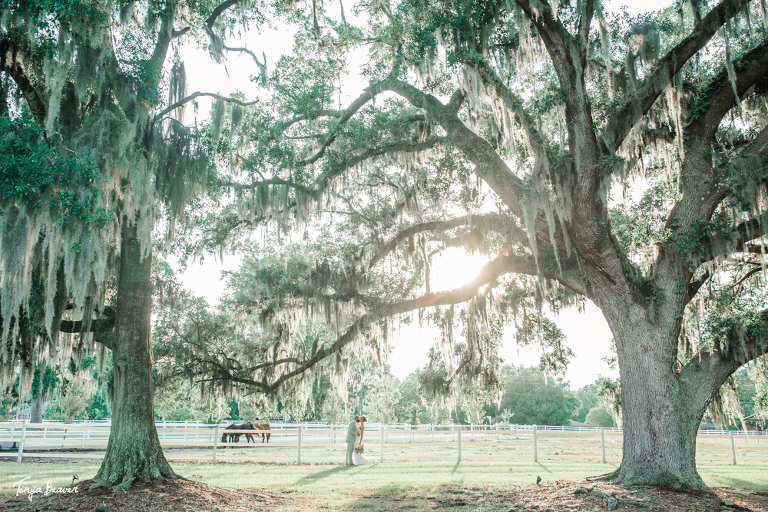 Plantation Oaks Farms Wedding Photography by Tonya Beaver Photography