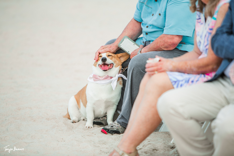 SERENATA BEACH CLUB WEDDING PHOTOGRAPHER; SAINT AUGUSTINE WEDDING PHOTOGRAPHER; SERENATA BEACH CLUB WEDDING PHOTOGRAPHY; SAINT AUGUSTINE WEDDING PHOTOGRAPHY; SERENATA BEACH CLUB WEDDING PHOTOS; SAINT AUGUSTINE WEDDING PHOTOS; SERENATA BEACH CLUB WEDDING PICTURES; SAINT AUGUSTINE WEDDING PICTURES; TONYA BEAVER PHOTOGRAPHY; Ponte Vedra Beach Wedding Photos; Ponte Vedra Beach Wedding Pictures; Ponte Vedra Beach Wedding Photography; Ponte Vedra Beach Wedding Photographer; 