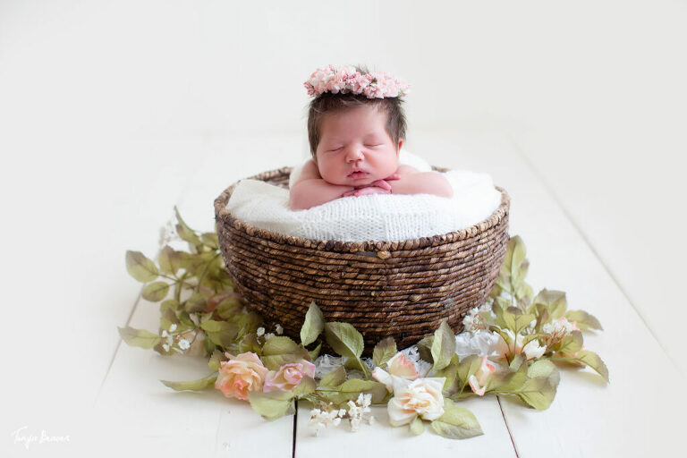 jacksonville maternity photographer; jacksonville newborn photographer; jacksonville pregnancy photographer; jacksonville baby photographer; saint augustine; ponte vedra; studio newborn photos; lifestyle newborn photography; tonya beaver photography