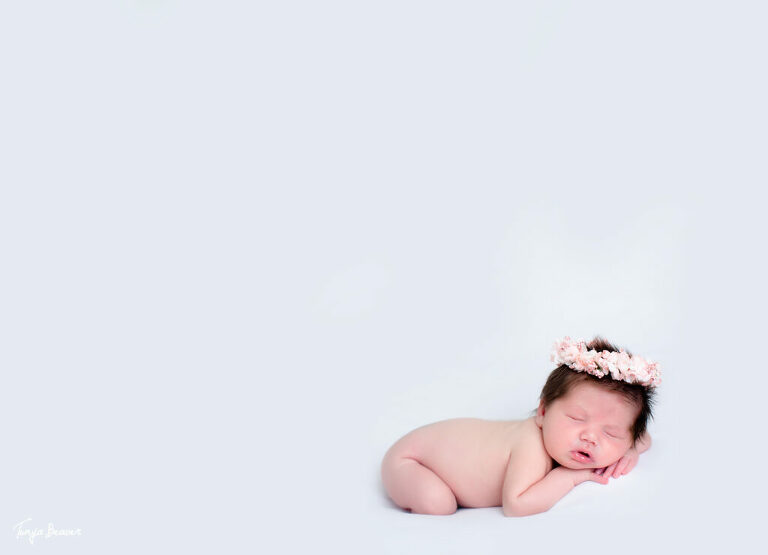 jacksonville maternity photographer; jacksonville newborn photographer; jacksonville pregnancy photographer; jacksonville baby photographer; saint augustine; ponte vedra; studio newborn photos; lifestyle newborn photography; tonya beaver photography
