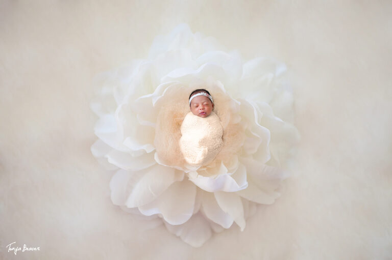 GAINESVILLE LIFESTYLE NEWBORN PHOTOGRAPHER; JACKSONVILLE LIFESTYLE NEWBORN PHOTOGRAPHER; GAINESVILLE LIFESTYLE NEWBORN PHOTOGRAPHY; GAINESVILLE LIFESTYLE NEWBORN PHOTOS; GAINESVILLE LIFESTYLE NEWBORN PICTURES; JACKSONVILLE LIFESTYLE NEWBORN PHOTOGRAPHY; JACKSONVILLE LIFESTYLE NEWBORN PHOTOS; JACKSONVILLE LIFESTYLE NEWBORN PICTURES; TONYA BEAVER PHOTOGRAPHY; 