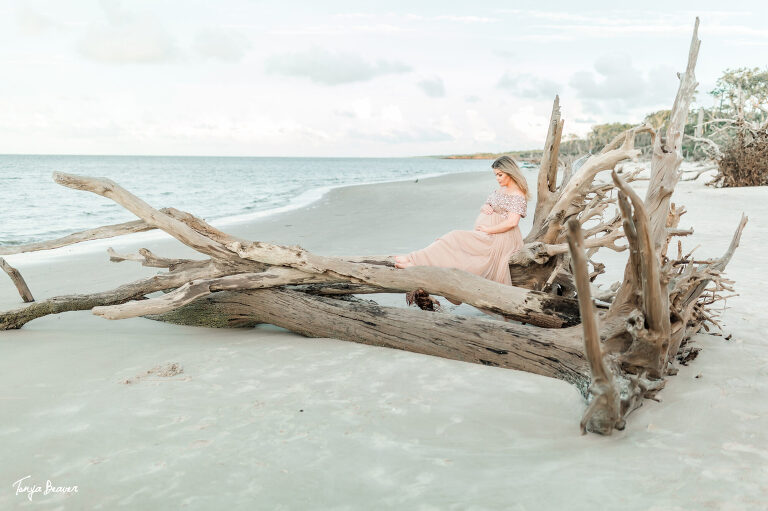 LITTLE TALBOT ISLAND MATERNITY PHOTOGRAPHY; LITTLE TALBOT ISLAND MATERNITY PHOTOGRAPHER; LITTLE TALBOT ISLAND MATERNITY PHOTOS; LITTLE TALBOT ISLAND MATERNITY PICTURES; DRIFTWOOD BEACH MATERNITY PHOTOS; DRIFTWOOD BEACH MATERNITY PICTURES; DRIFTWOOD BEACH MATERNITY PHOTOGRAPHER; DRIFTWOOD BEACH MATERNITY PHOTOGRAPHY; Jacksonville Maternity Photography; Jacksonville Maternity Photographer; Jacksonville Maternity Photos; Jacksonville Maternity Pictures; Tonya Beaver Photography; jacksonville photographers; photographer jacksonville fl;