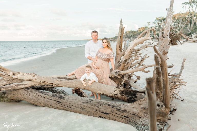 LITTLE TALBOT ISLAND MATERNITY PHOTOGRAPHY; LITTLE TALBOT ISLAND MATERNITY PHOTOGRAPHER; LITTLE TALBOT ISLAND MATERNITY PHOTOS; LITTLE TALBOT ISLAND MATERNITY PICTURES; DRIFTWOOD BEACH MATERNITY PHOTOS; DRIFTWOOD BEACH MATERNITY PICTURES; DRIFTWOOD BEACH MATERNITY PHOTOGRAPHER; DRIFTWOOD BEACH MATERNITY PHOTOGRAPHY; Jacksonville Maternity Photography; Jacksonville Maternity Photographer; Jacksonville Maternity Photos; Jacksonville Maternity Pictures; Tonya Beaver Photography; jacksonville photographers; photographer jacksonville fl;