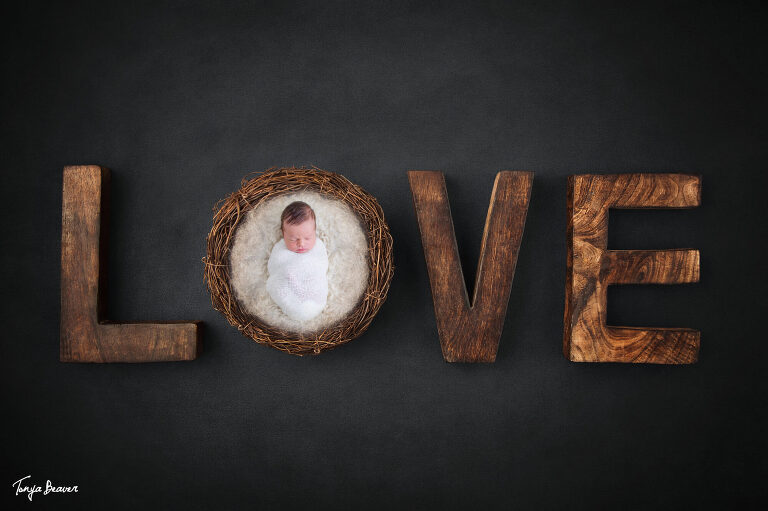 JACKSONVILLE NEWBORN PHOTOGRAPHY; JACKSONVILLE BABY PHOTOGRAPHER; JACKSONVILLE NEWBORN PHOTOGRAPHER; JACKSONVILLE BABY PHOTOGRAPHY; JACKSONVILLE NEWBORN PHOTOS; JACKSONVILLE BABY PHOTOS; JACKSONVILLE BABY PHOTOGRAPHY; JACKSONVILLE NEWBORN PICTURES; JACKSONVILLE BABY PICTURES; TONYA BEAVER PHOTOGRAPHY;