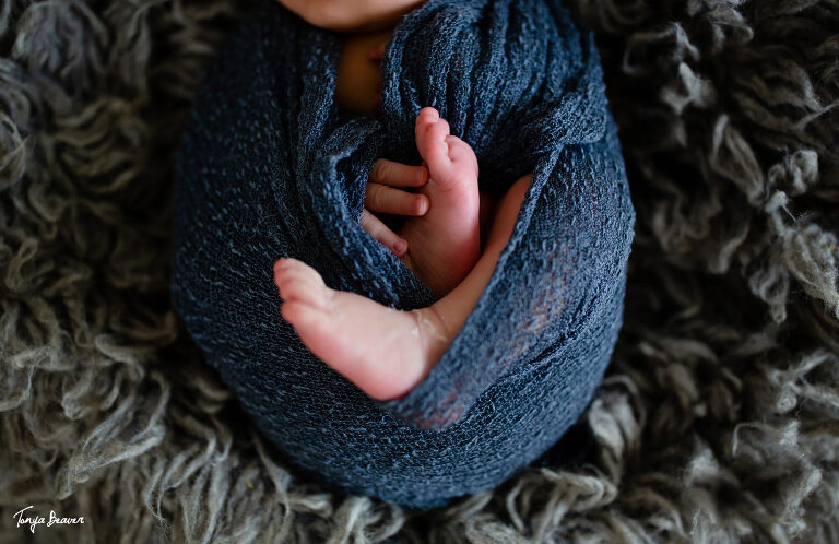 JACKSONVILLE NEWBORN PHOTOGRAPHY; JACKSONVILLE BABY PHOTOGRAPHER; JACKSONVILLE NEWBORN PHOTOGRAPHER; JACKSONVILLE BABY PHOTOGRAPHY; JACKSONVILLE NEWBORN PHOTOS; JACKSONVILLE BABY PHOTOS; JACKSONVILLE BABY PHOTOGRAPHY; JACKSONVILLE NEWBORN PICTURES; JACKSONVILLE BABY PICTURES; TONYA BEAVER PHOTOGRAPHY;