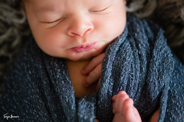 JACKSONVILLE NEWBORN PHOTOGRAPHY; JACKSONVILLE BABY PHOTOGRAPHER; JACKSONVILLE NEWBORN PHOTOGRAPHER; JACKSONVILLE BABY PHOTOGRAPHY; JACKSONVILLE NEWBORN PHOTOS; JACKSONVILLE BABY PHOTOS; JACKSONVILLE BABY PHOTOGRAPHY; JACKSONVILLE NEWBORN PICTURES; JACKSONVILLE BABY PICTURES; TONYA BEAVER PHOTOGRAPHY;