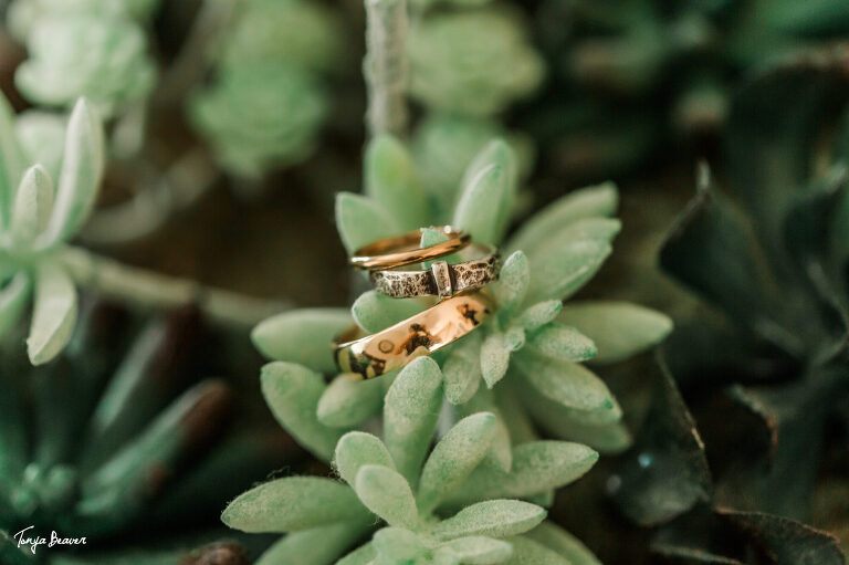 WHITE ROOM WEDDING PHOTOS;  ST AUGUSTINE WEDDING PHOTOS; WHITE ROOM WEDDING PHOTOGRAPHY;  ST AUGUSTINE WEDDING PHOTOGRAPHY; WHITE ROOM WEDDING PHOTOGRAPHER;  ST AUGUSTINE WEDDING PHOTOGRAPHER;  WHITE ROOM WEDDING PICTURES; ST AUGUSTINE WEDDING PICTURES; TONYA BEAVER PHOTOGRAPHY; 