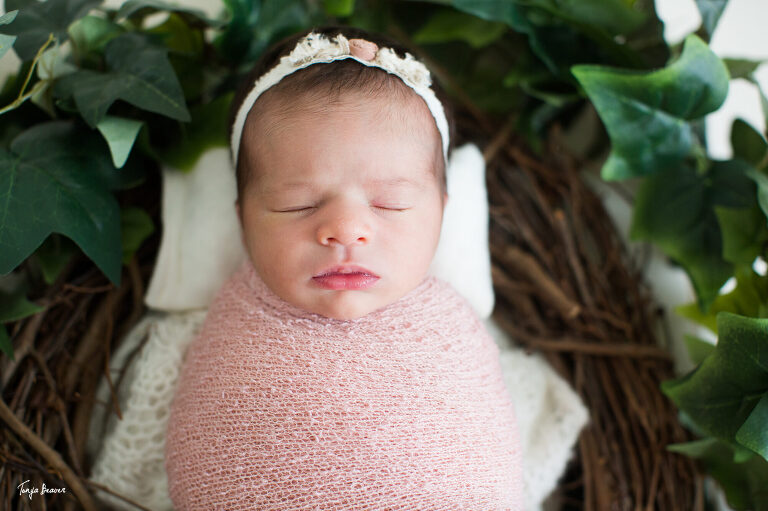JACKSONVILLE NEWBORN PHOTOGRAPHER; JACKSONVILLE PHOTOGRAPHY STUDIO; JACKSONVILLE NEWBORN PHOTOGRAPHY; JACKSONVILLE NEWBORN PHOTOS; JACKSONVILLE NEWBORN PICTURES; TONYA BEAVER PHOTOGRAPHY; 