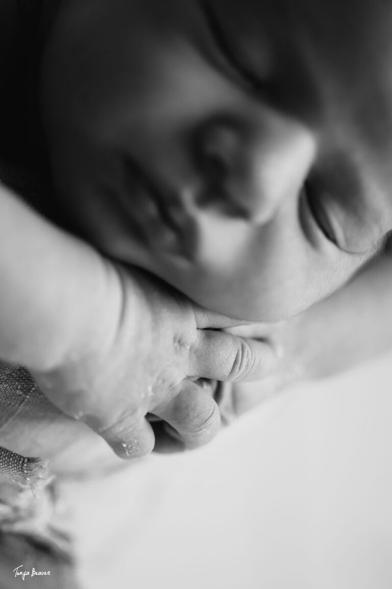 JACKSONVILLE NEWBORN PHOTOGRAPHER; JACKSONVILLE PHOTOGRAPHY STUDIO; JACKSONVILLE NEWBORN PHOTOGRAPHY; JACKSONVILLE NEWBORN PHOTOS; JACKSONVILLE NEWBORN PICTURES; TONYA BEAVER PHOTOGRAPHY; 