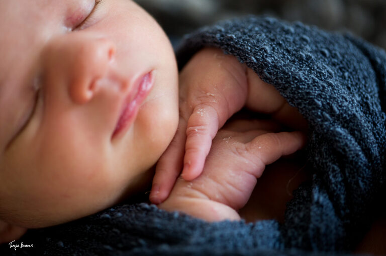 JACKSONVILLE NEWBORN PHOTOGRAPHER; JACKSONVILLE PHOTOGRAPHY STUDIO; JACKSONVILLE NEWBORN PHOTOGRAPHY; JACKSONVILLE NEWBORN PHOTOS; JACKSONVILLE NEWBORN PICTURES; TONYA BEAVER PHOTOGRAPHY; 