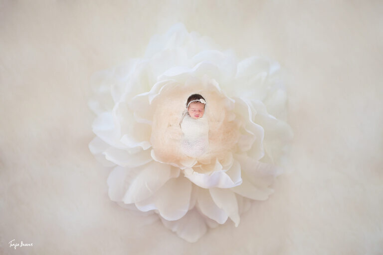 JACKSONVILLE NEWBORN PHOTOGRAPHER; JACKSONVILLE PHOTOGRAPHY STUDIO; JACKSONVILLE NEWBORN PHOTOGRAPHY; JACKSONVILLE NEWBORN PHOTOS; JACKSONVILLE NEWBORN PICTURES; TONYA BEAVER PHOTOGRAPHY; 