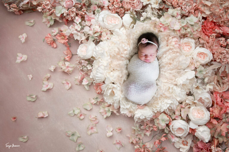 JACKSONVILLE NEWBORN PHOTOGRAPHER; JACKSONVILLE PHOTOGRAPHY STUDIO; JACKSONVILLE NEWBORN PHOTOGRAPHY; JACKSONVILLE NEWBORN PHOTOS; JACKSONVILLE NEWBORN PICTURES; TONYA BEAVER PHOTOGRAPHY; 