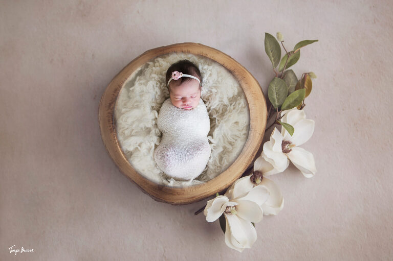 JACKSONVILLE NEWBORN PHOTOGRAPHER; JACKSONVILLE PHOTOGRAPHY STUDIO; JACKSONVILLE NEWBORN PHOTOGRAPHY; JACKSONVILLE NEWBORN PHOTOS; JACKSONVILLE NEWBORN PICTURES; TONYA BEAVER PHOTOGRAPHY; 